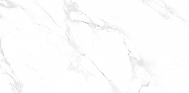 ACROPOL WHITE POLISHED 60x120